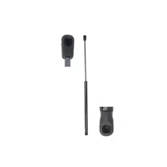 Vérin de hayon, de coffre MAGNUM TECHNOLOGY