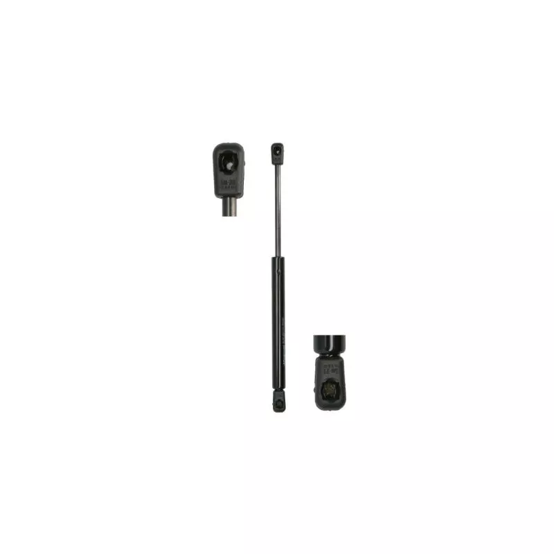 Ressort pneumatique, porte MAGNUM TECHNOLOGY MGS104