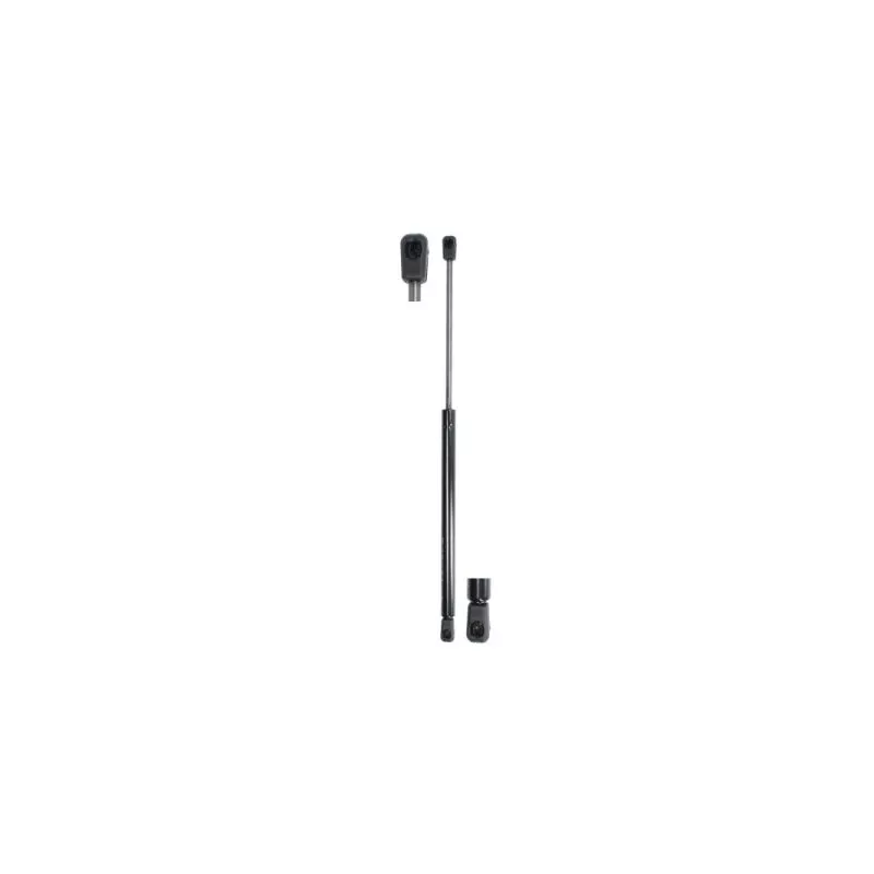 Ressort pneumatique, porte MAGNUM TECHNOLOGY MGS109