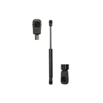 Ressort pneumatique, porte MAGNUM TECHNOLOGY MGS123