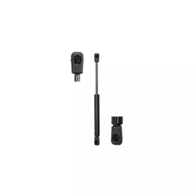 Ressort pneumatique, porte MAGNUM TECHNOLOGY MGS123
