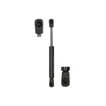 Ressort pneumatique, porte MAGNUM TECHNOLOGY MGS148