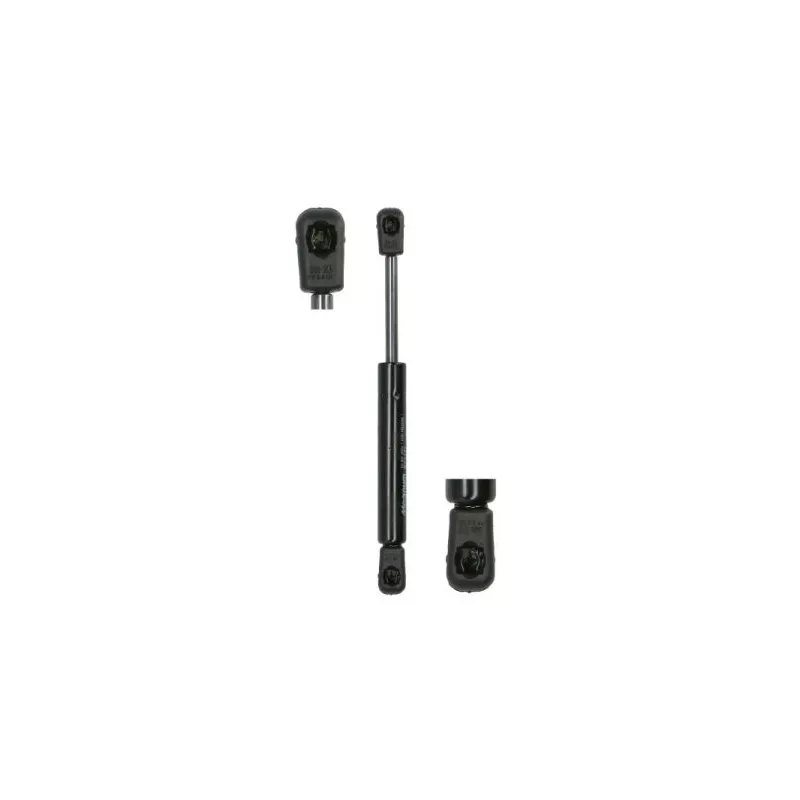 Ressort pneumatique, porte MAGNUM TECHNOLOGY MGS148