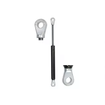 Ressort pneumatique, porte MAGNUM TECHNOLOGY MGS150