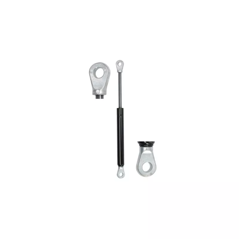 Ressort pneumatique, porte MAGNUM TECHNOLOGY MGS150