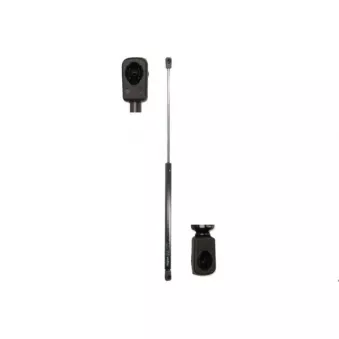 Ressort pneumatique, porte MAGNUM TECHNOLOGY MGS154