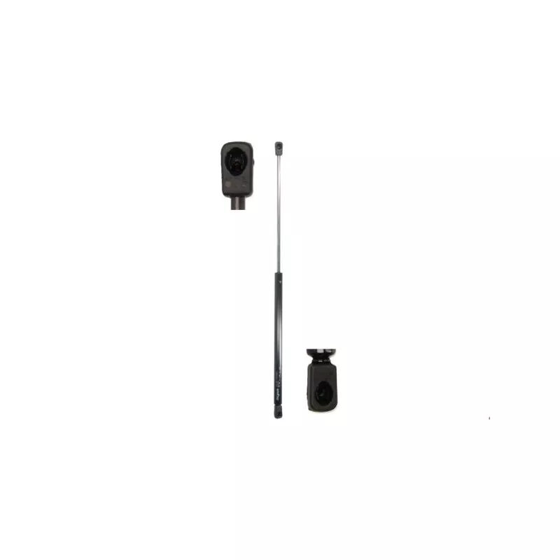 Ressort pneumatique, porte MAGNUM TECHNOLOGY MGS154