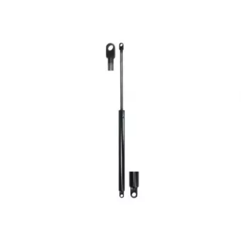 Ressort pneumatique, porte MAGNUM TECHNOLOGY MGS158