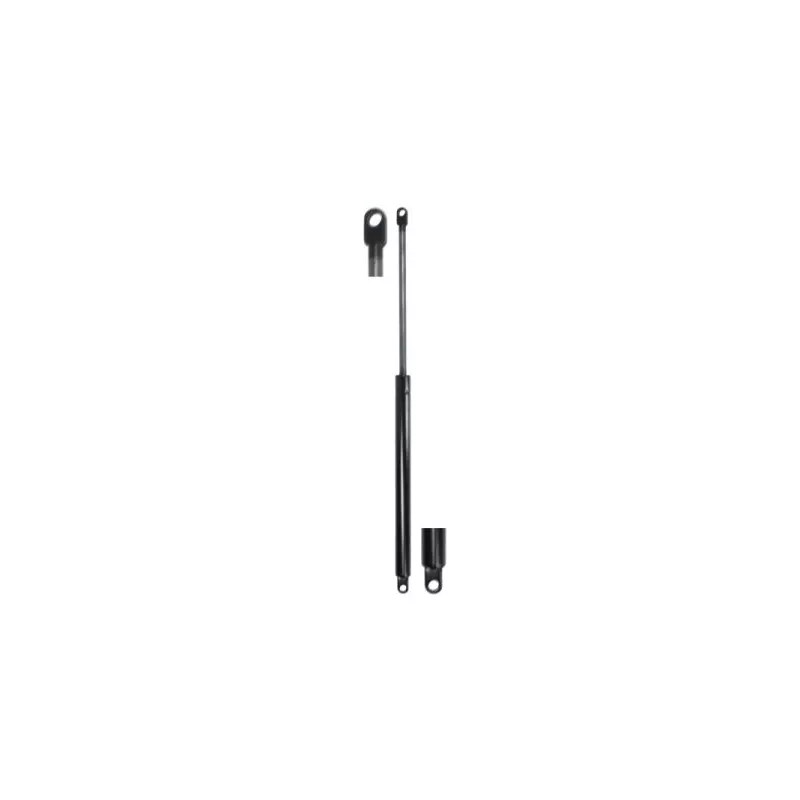 Ressort pneumatique, porte MAGNUM TECHNOLOGY MGS158
