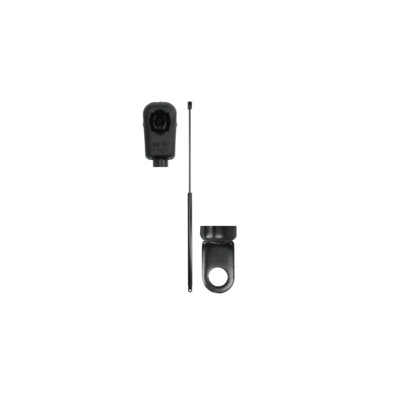 Ressort pneumatique, porte MAGNUM TECHNOLOGY MGS162