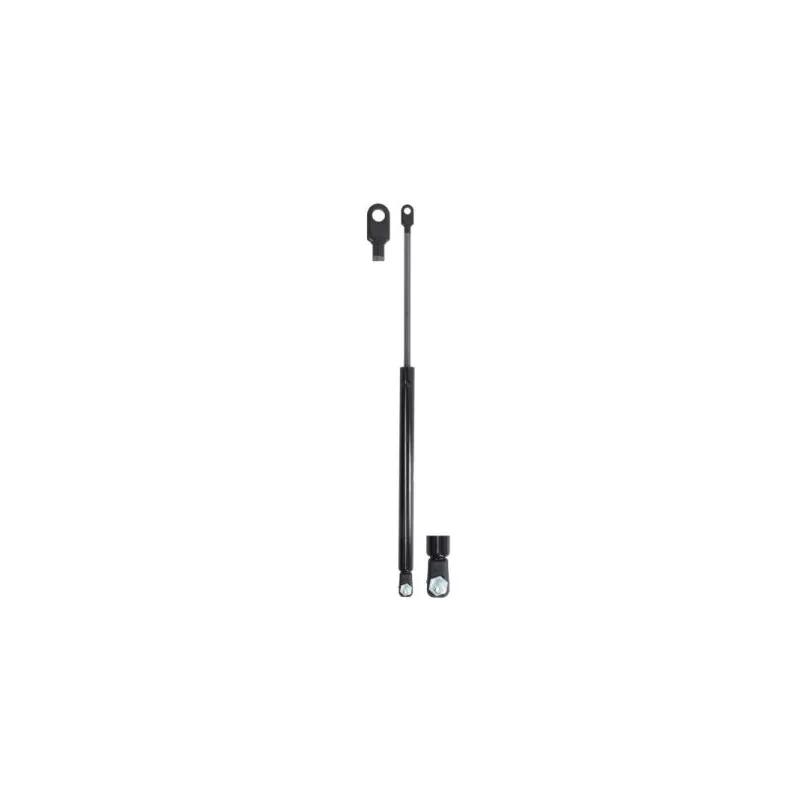 Ressort pneumatique, porte MAGNUM TECHNOLOGY MGS163