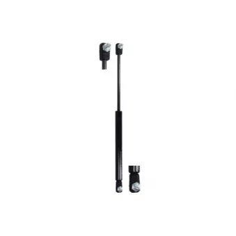 Ressort pneumatique, porte MAGNUM TECHNOLOGY MGS168