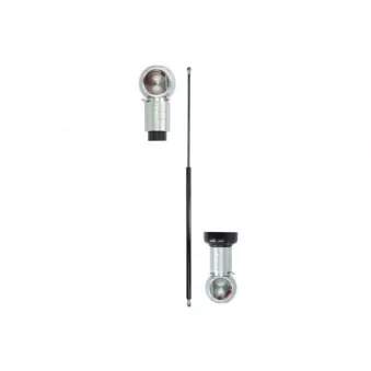 Ressort pneumatique, porte MAGNUM TECHNOLOGY MGS173