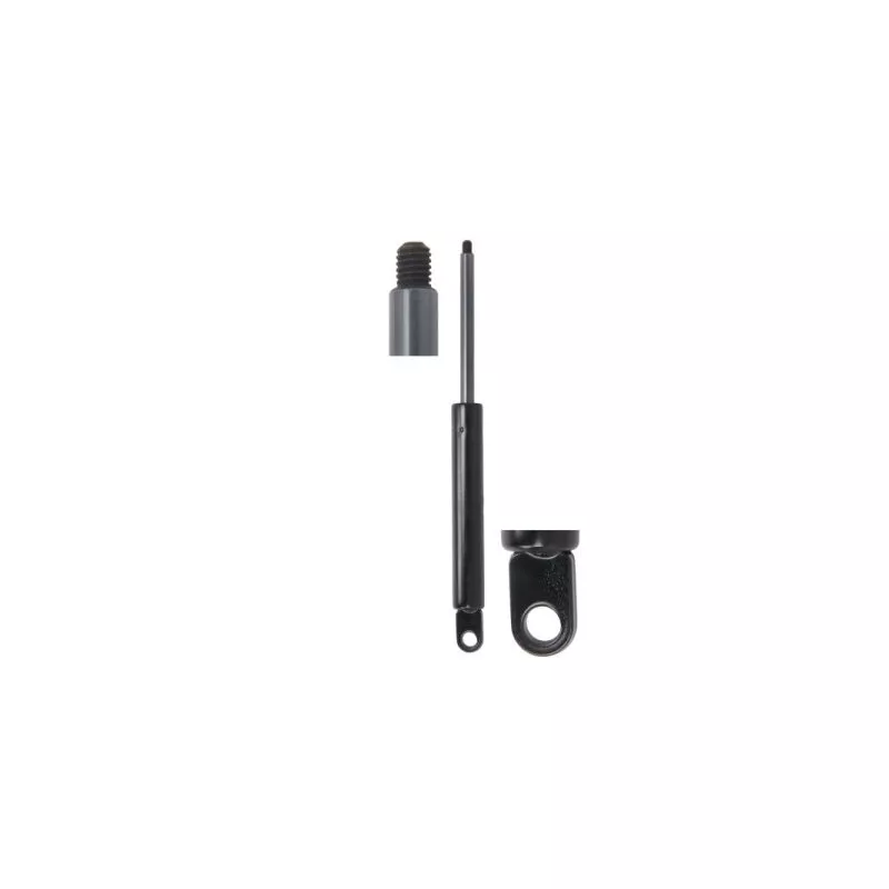 Ressort pneumatique, porte MAGNUM TECHNOLOGY MGS179
