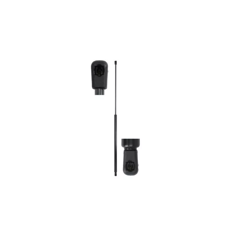 Ressort pneumatique, porte MAGNUM TECHNOLOGY MGS211
