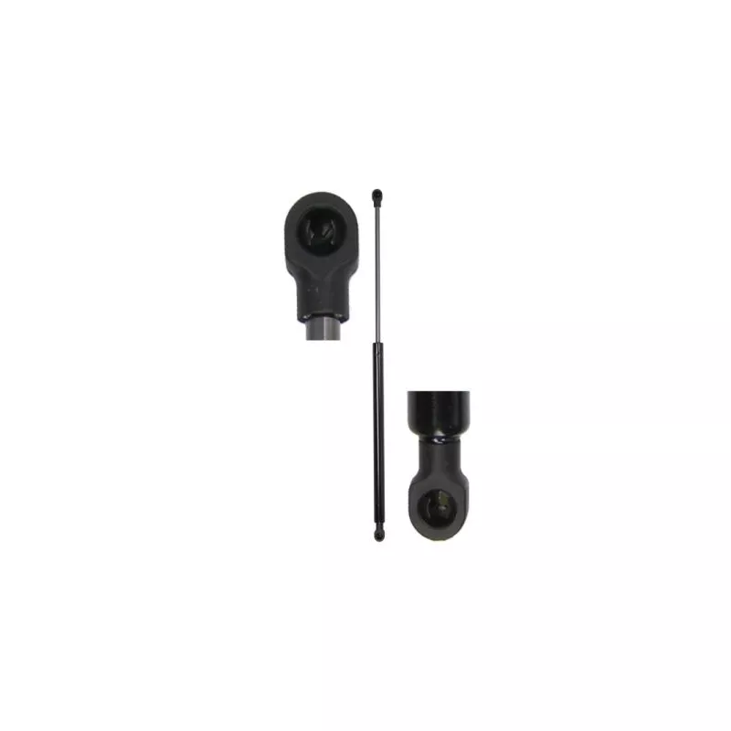 Vérin de hayon, de coffre MAGNUM TECHNOLOGY MGS2138