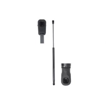 Vérin de hayon, de coffre MAGNUM TECHNOLOGY