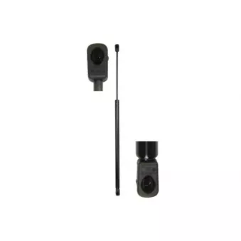 Vérin de hayon, de coffre MAGNUM TECHNOLOGY