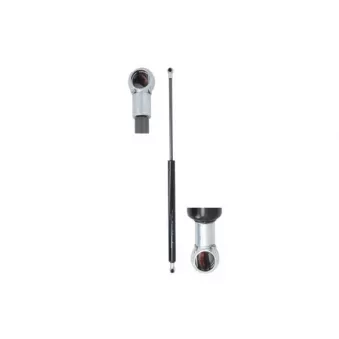 Vérin de hayon, de coffre MAGNUM TECHNOLOGY