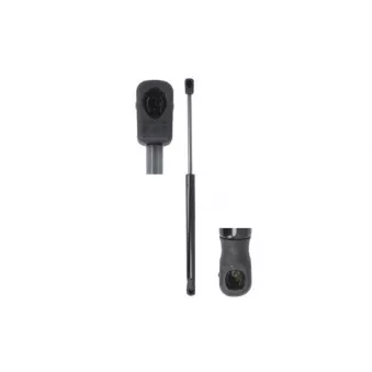 Vérin de hayon, de coffre MAGNUM TECHNOLOGY