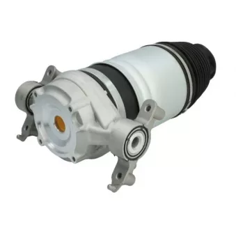 Ressort pneumatique, châssis MAGNUM TECHNOLOGY MZW004MT