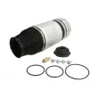 Ressort pneumatique, châssis MAGNUM TECHNOLOGY MZW007MT - Visuel 1