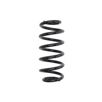 Ressort de suspension MAGNUM TECHNOLOGY