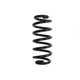 Ressort de suspension MAGNUM TECHNOLOGY