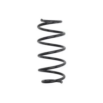 Ressort de suspension MAGNUM TECHNOLOGY