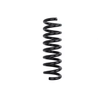 Ressort de suspension MAGNUM TECHNOLOGY