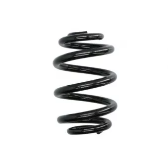 Ressort de suspension MAGNUM TECHNOLOGY