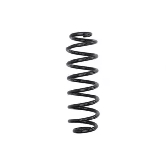 Ressort de suspension MAGNUM TECHNOLOGY SW211