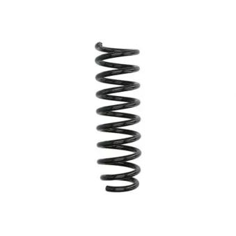 Ressort de suspension MAGNUM TECHNOLOGY