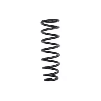 Ressort de suspension MAGNUM TECHNOLOGY