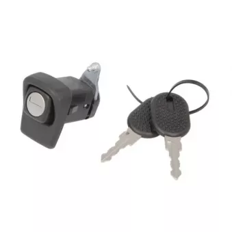 Poignée extérieure de porte BLIC 5050-00-FI0904