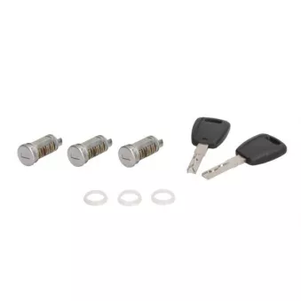 Cylindre de serrure BLIC 5050-00-FI421703