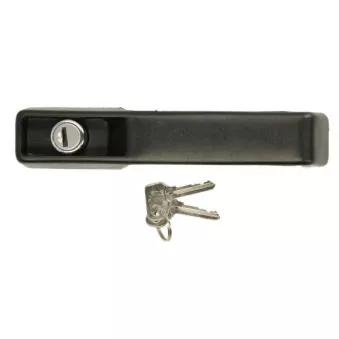 Poignée extérieure de porte BLIC 5050-00-IV2500