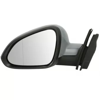 Rétroviseur extérieur BLIC 5402-04-1121606P