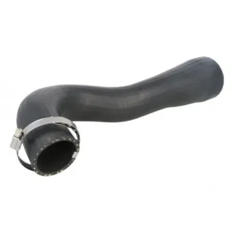 Durite de radiateur THERMOTEC DCX075TT
