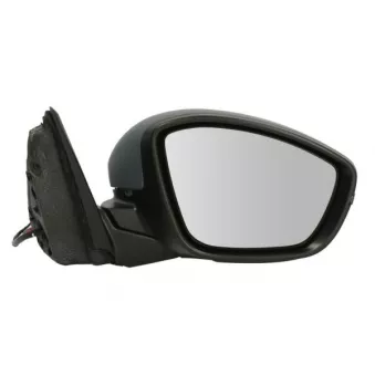 Rétroviseur extérieur BLIC 5402-04-2440311P