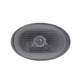 Feu clignotant avant gauche BLIC 5403-03-0427105P