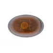 Feu clignotant avant droit BLIC 5403-03-0427106YP - Visuel 1