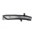 Feu clignotant avant droit BLIC 5403-20-0543106P - Visuel 1