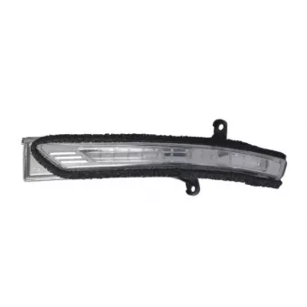 Feu clignotant avant droit BLIC 5403-20-0543106P