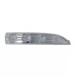 Feu clignotant avant droit BLIC 5403-20-0546106P - Visuel 1