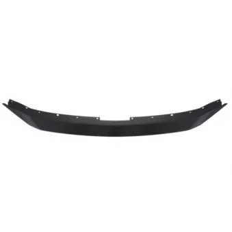 Enjoliveur, grille de radiateur BLIC 5513-00-3496920P