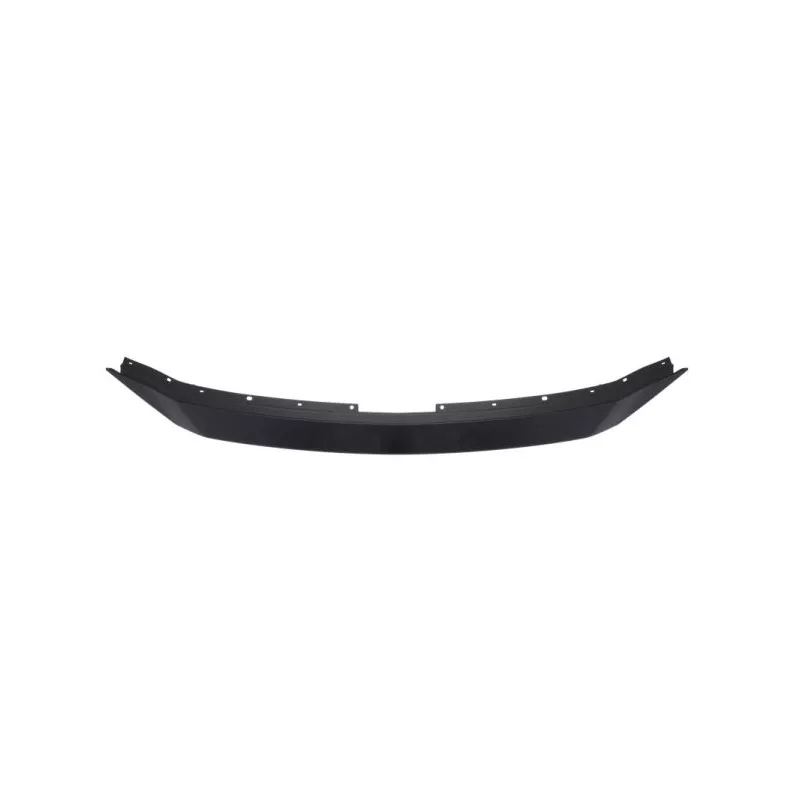 Enjoliveur, grille de radiateur BLIC 5513-00-3496920P