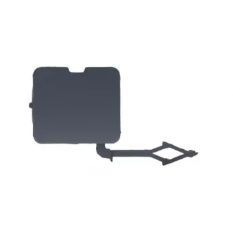 Recouvrement de pare-chocs, dispositif d'attelage BLIC