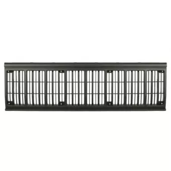 Grille de radiateur BLIC 5601-00-3203996BP