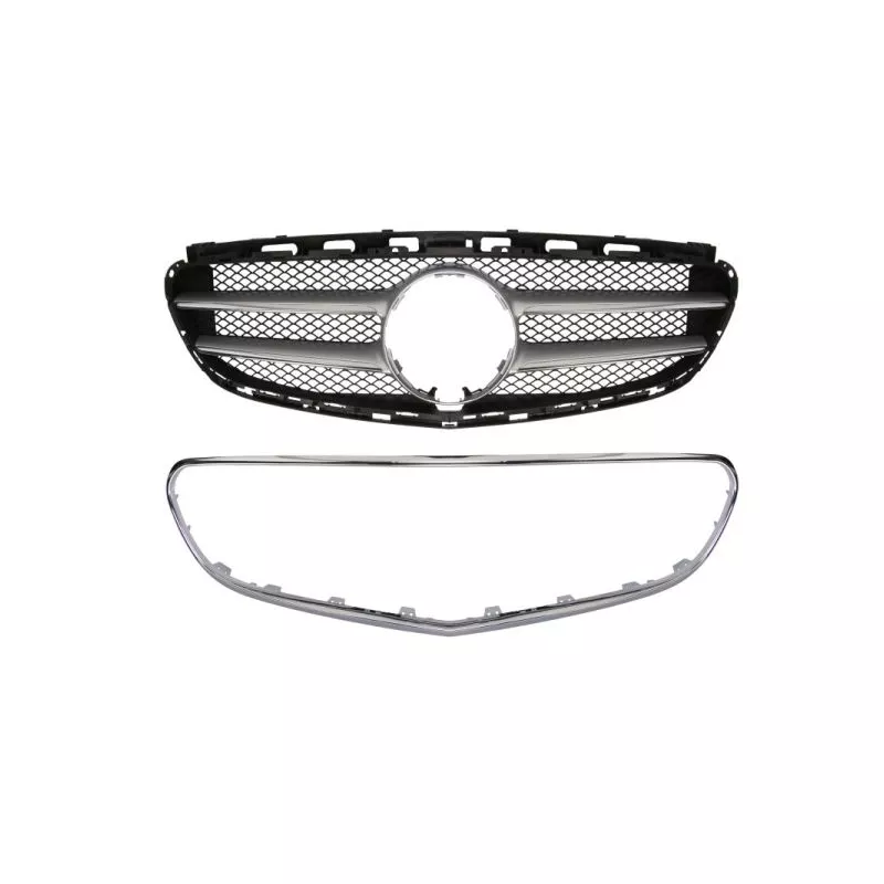 Grille de radiateur BLIC 5601-00-3529993PP